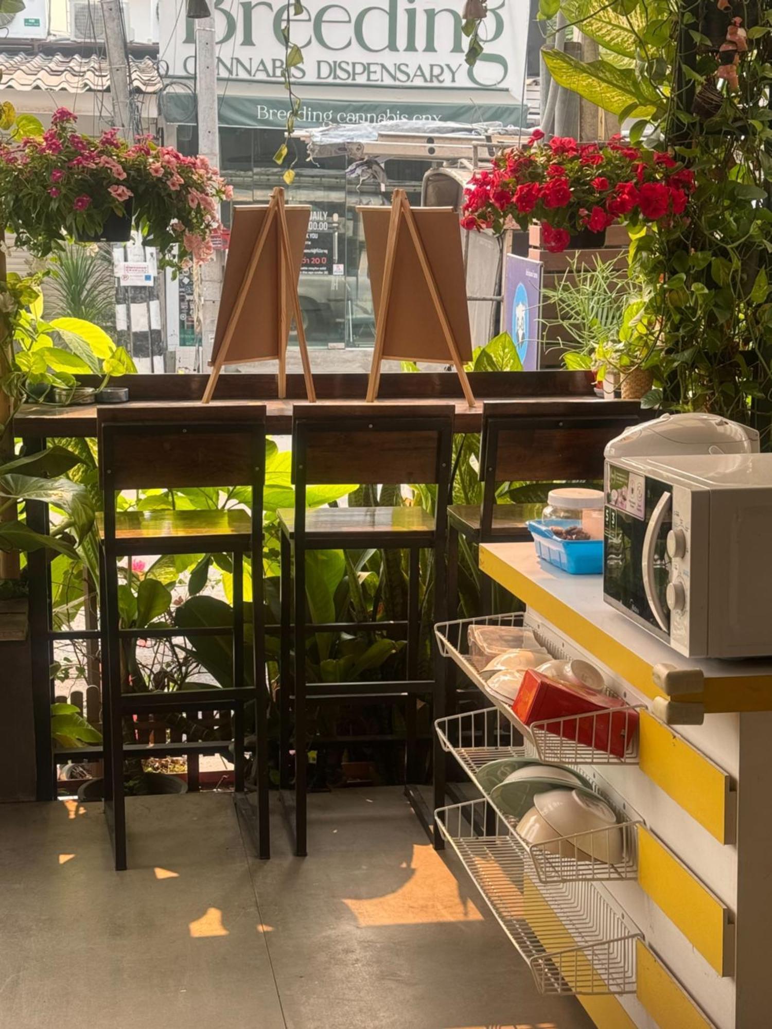 Chiang Mai Panda Hostel Εξωτερικό φωτογραφία